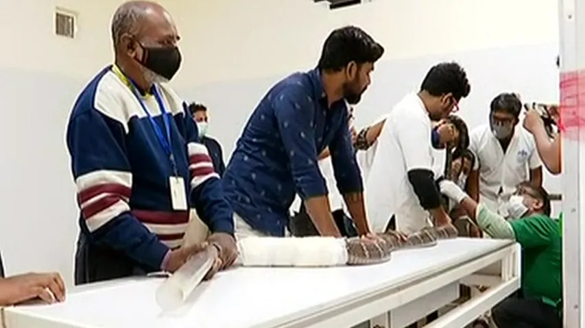 King Cobra With Fractured Ribs Undergoes Life-Saving Surgery At OUAT In Bhubaneswar 