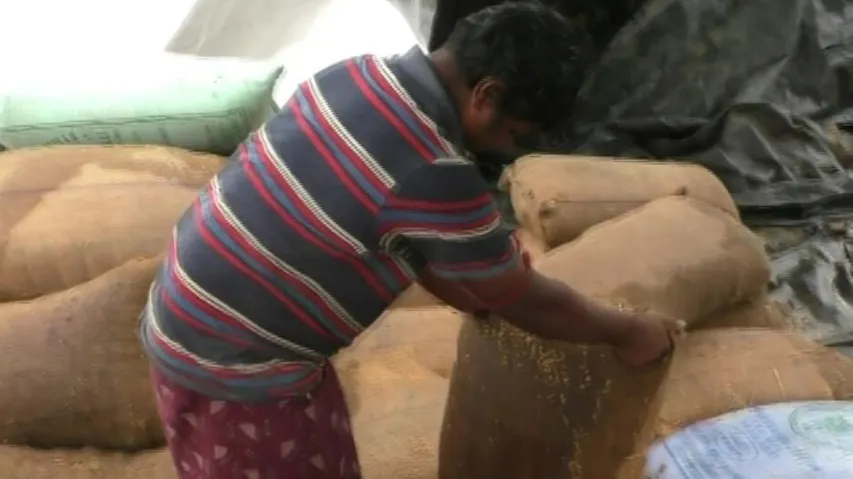 Paddy Damage At Mandis