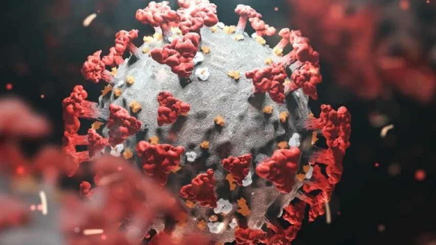 Weekend Curfew To Be Imposed In Delhi Amid Covid Surge: DDMA