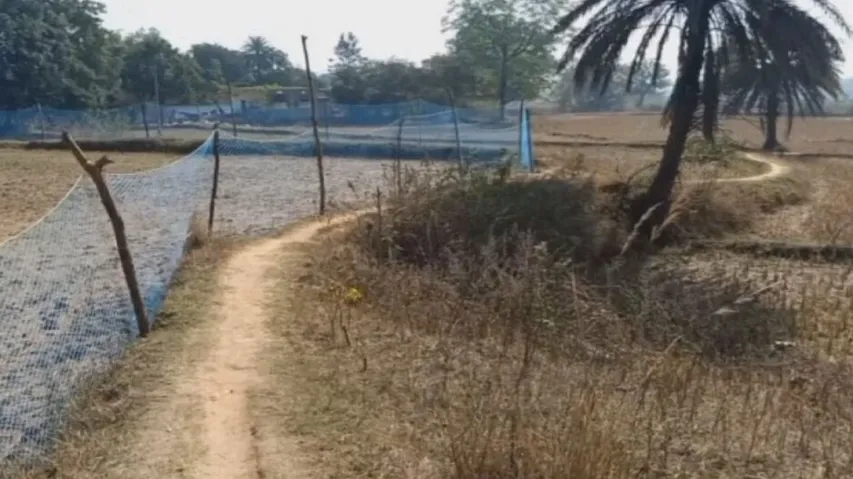 With No Road Pregnant Woman In Sundargarh Dies As Ambulance Fails To Reach