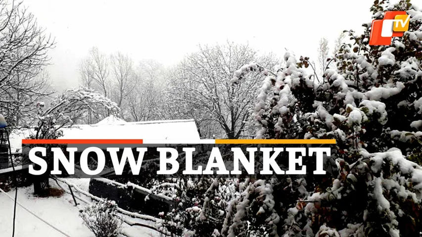 Heavy Snowfall In Jammu Kashmir