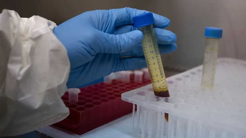 Phytochemicals Discovered In Himalayan Plant Buransh That Inhibit COVID-19 Virus