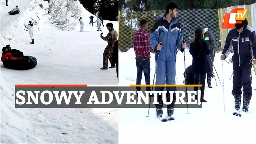 Shimla, Tourism, Snow Skiing, Kufri, Snowfall, Himachal Pradesh
