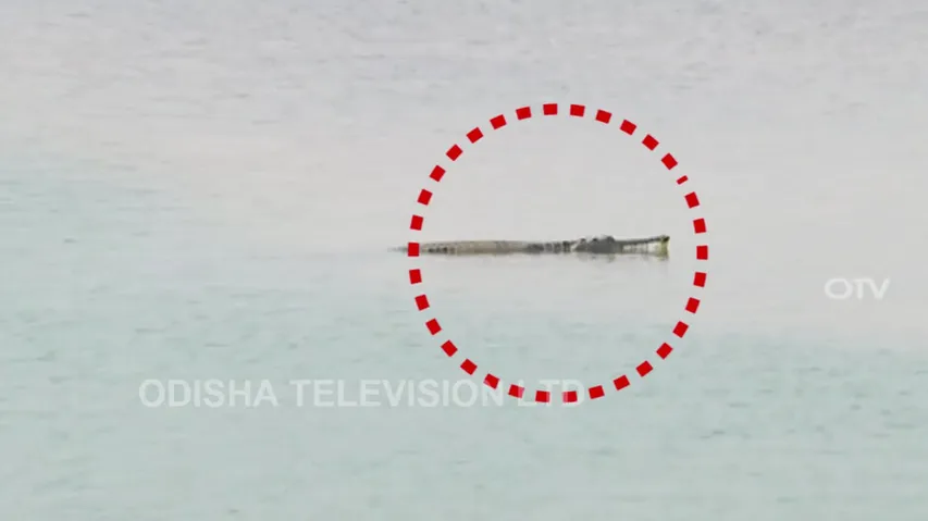 Gharials In Mahanadi: Govt Says Don’t Panic, Calls For Awareness To Promote Peaceful Co-Existence