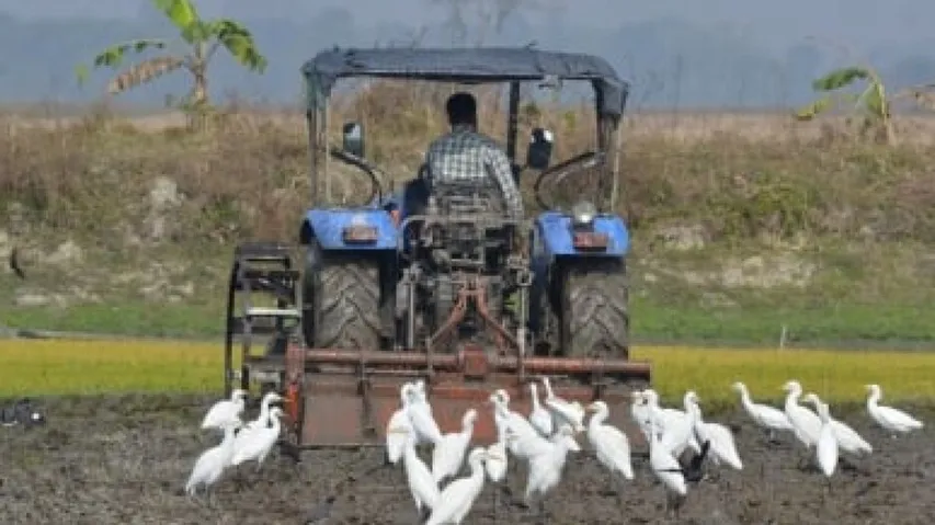 Chemical-Free, Natural Farming With Focus On Ganga Basin To Be Promoted: FM Sitharaman