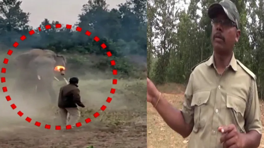 Brave Forest Guard Chitta Ranjan