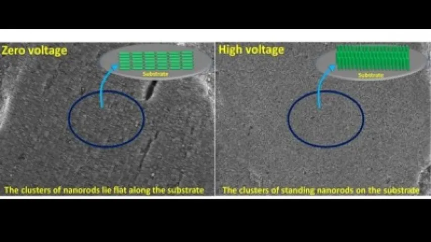 Gold-Nanorods Can Be Used To Detect Food Contamination