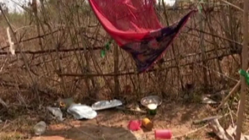 Horrendous! 5 Kids 'Sacrifice' Puppy, Drink Blood In Odisha’s Bolangir