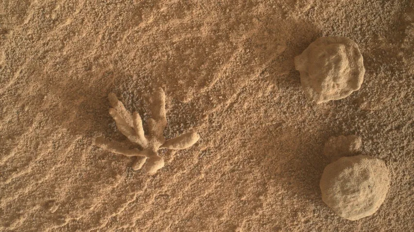 Curiosity Rover Images Tiny 'Mineral Flower' On Mars