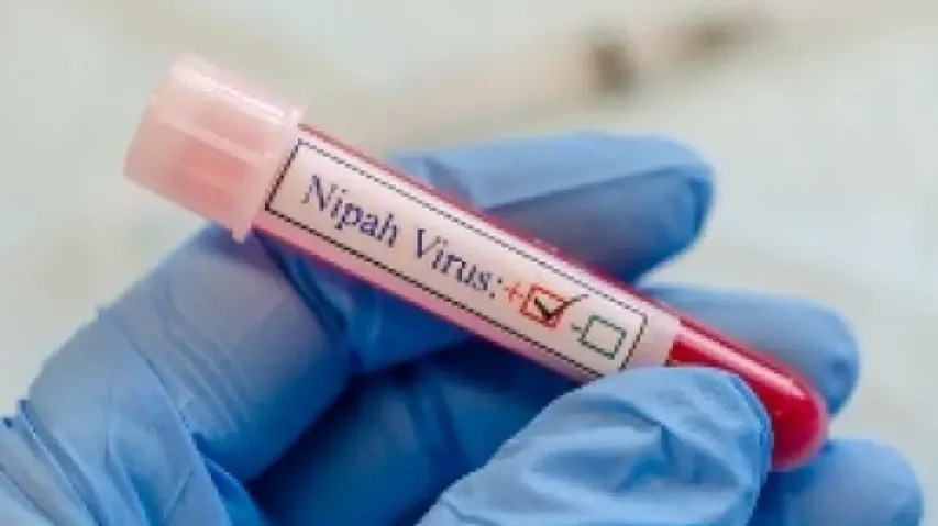US Scientists Develop Nipah Virus Vaccine That Can Save Lives In Just 3 Days