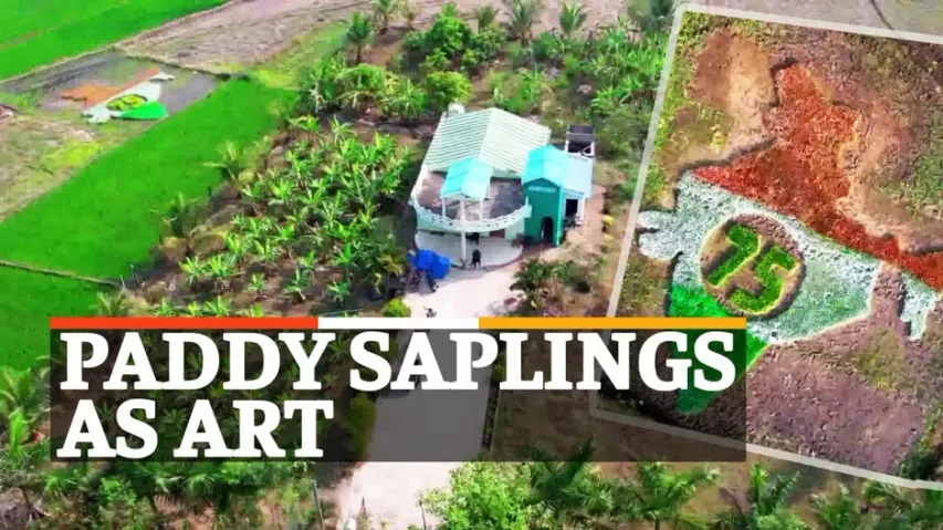 Paddy Sappling Art, Paddy Art