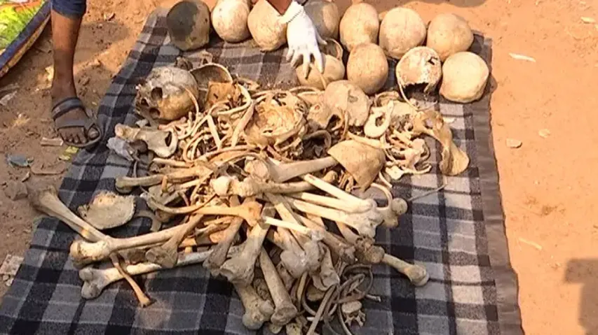 Human Skeletons Recovered From Bhubaneswar