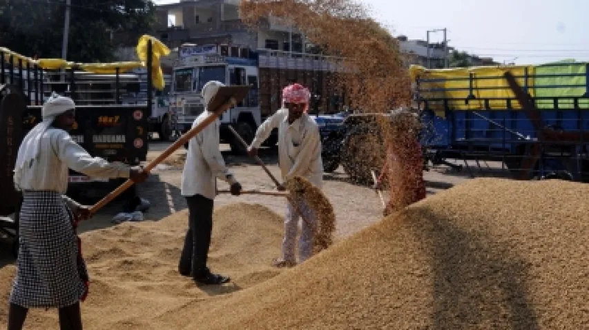 A Paddy Mandi In Odisha