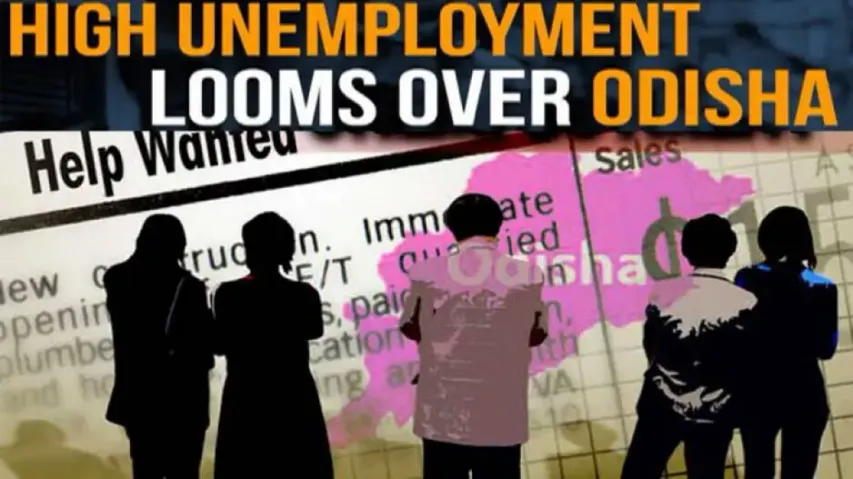 Unemployment - Neither Sliced Nor Diced! 