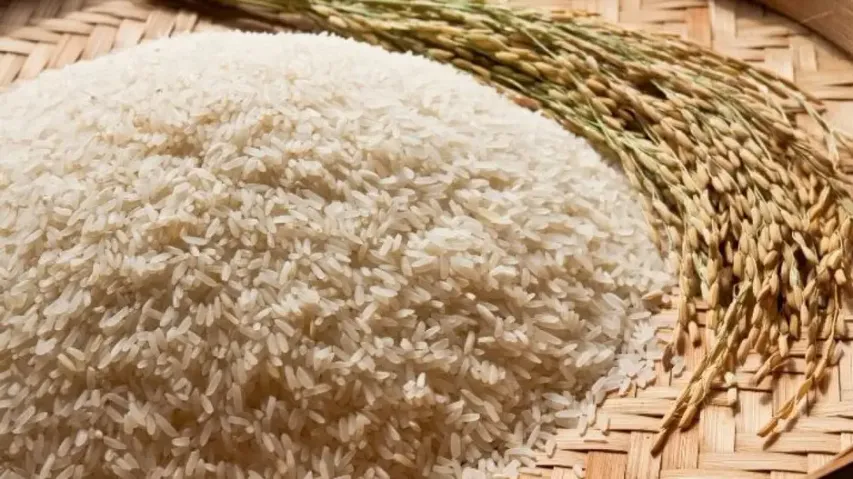Fortified Rice Decision In Line With Endeavours To Improve Nutrition Levels: PM Modi
