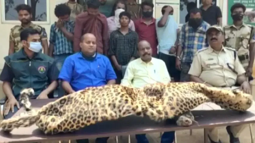 Illegal Wildlife Trade