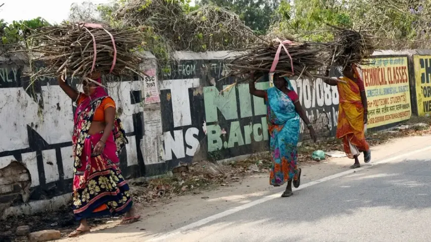 Kerosene, Firewood Use Gathering Momentum As Rural India Moves Away From Petrol, LPG