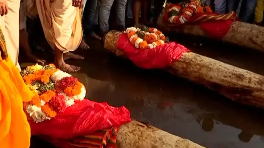 Agyan Mala For Chariot Making In Puri