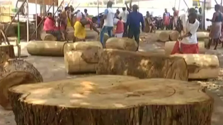 Puri Rath Yatra: Timber shortage fear looms large 