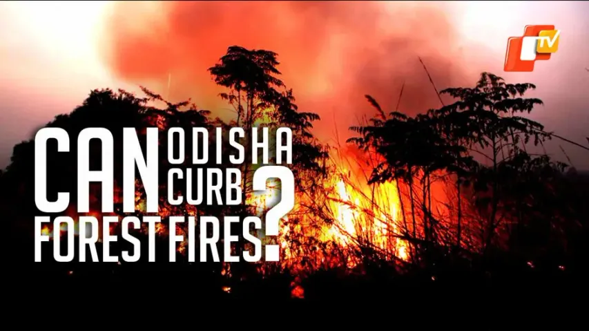 Forest Fires