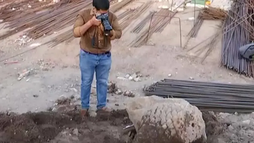 Ancient Lion Sculpture Excavated In Puri