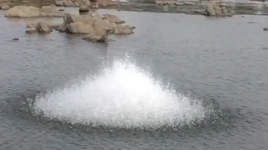 Illegal blast fishing destroying Mahanadi ecosystem in Sonepur
