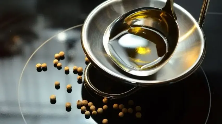 Govt allows duty-free import of 20 lakh tn per yr of crude soyabean, sunflower oil