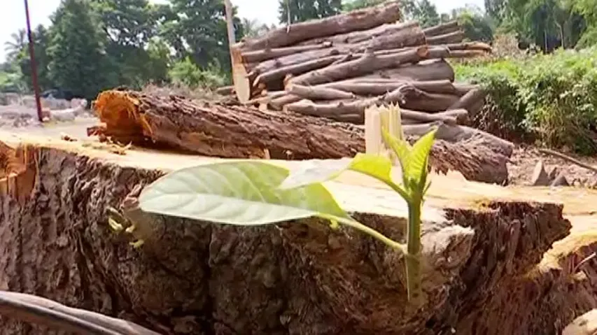 Hundreds of trees felled in Bhubaneswar for construction of multi-storey building for MLAs