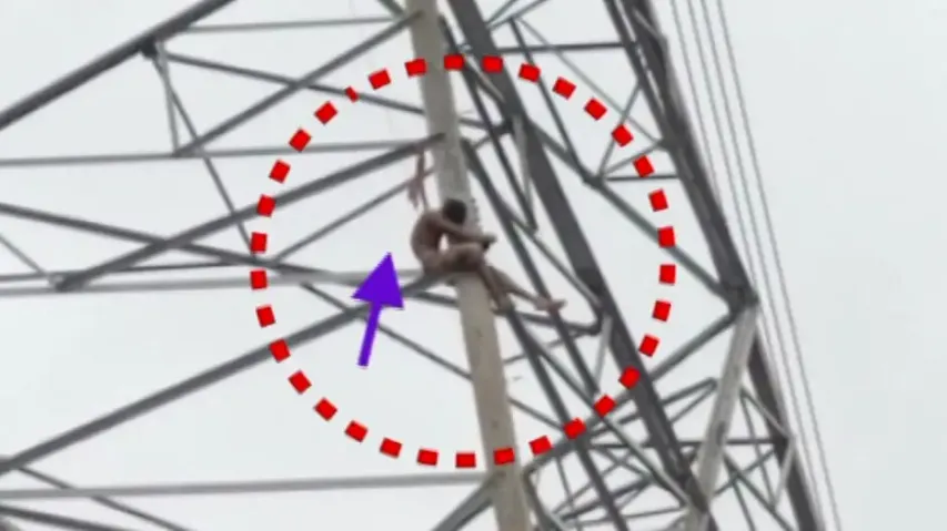 Fight with wife: Youth climbs on 746 KV electric tower to end life 