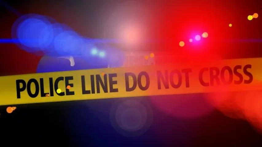 South Africa police say 14 dead in bar shooting in Soweto