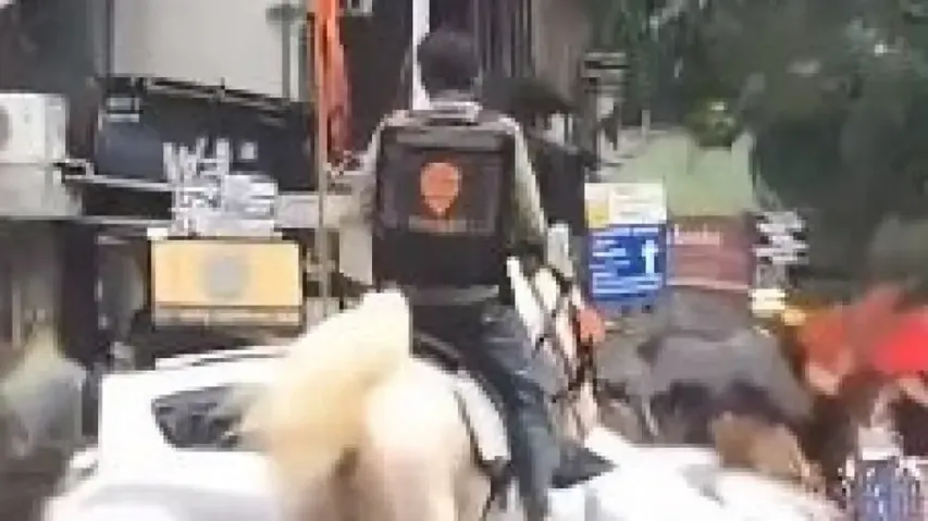 Swiggy looking for unknown delivery man riding horse who went viral