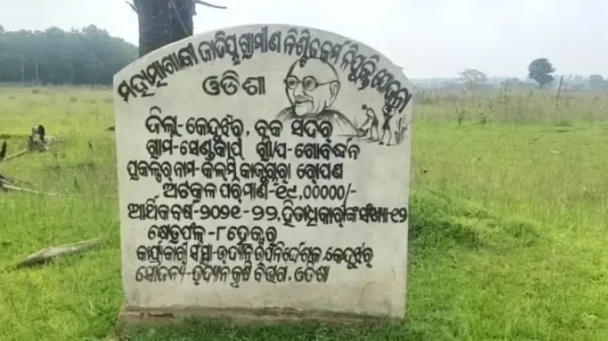 A Failed Cashew Plantation Project In Keonjhar