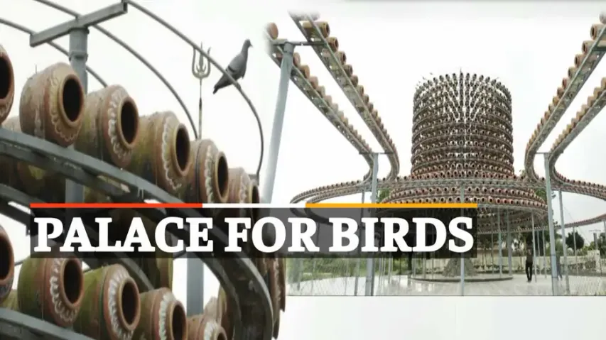 Bird Man, Bhagvanji Rupapara, Bird House