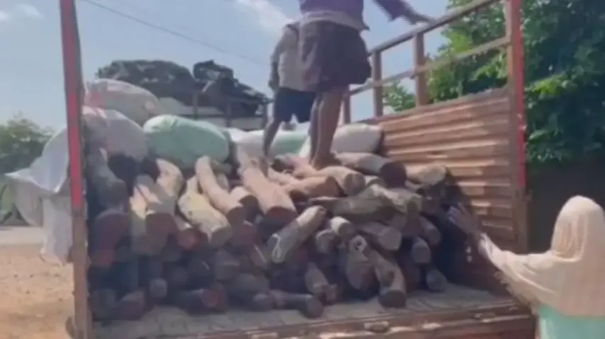 Police have seized 396 sandalwood logs weighing 4200 kg worth over Rs 2 crore