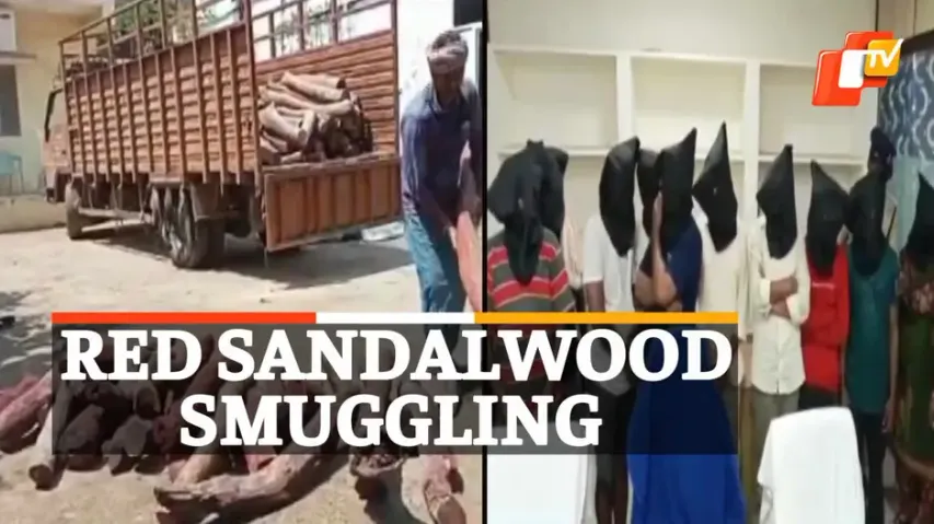 Red Sandal wood, Red Sandal wood Smuggling