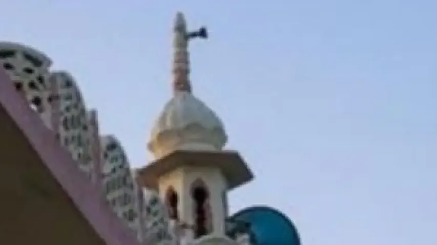 Plea filed in Mathura for removal of another mosque