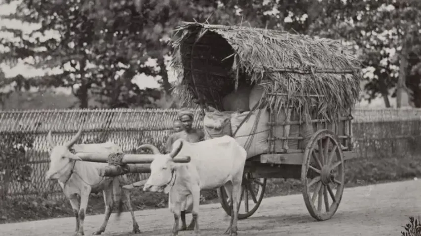 A Bullock Cart Ride To Cuttack – 60 Km, 60 Years Ago 