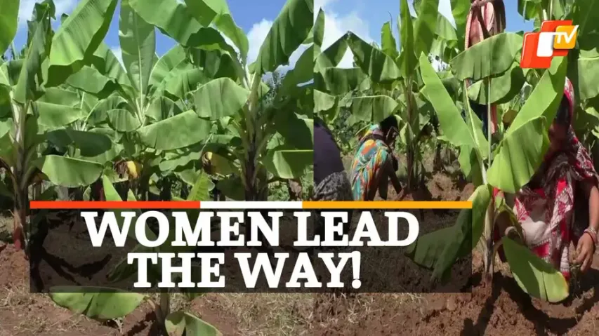 Farming, Women Farmers