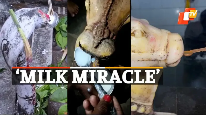 Nandi, Lord Shiva, Bull, Milk, Odisha, OTV News