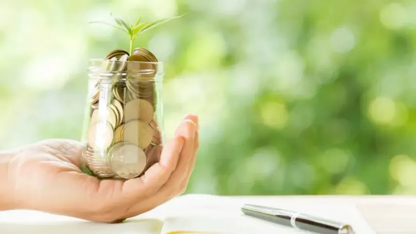 Best money management apps that you can use for budgeting your expenses