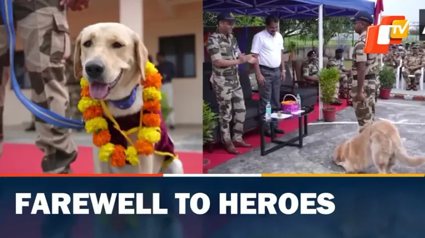 Fighter Dogs ,CISF 