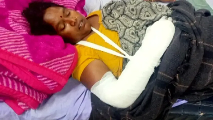 Two children crushed to death by elephants in front of parents