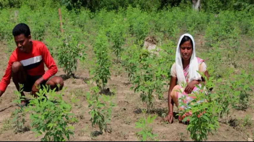 In Malkangiri's tribal villages, every drop saved today is an investment for tomorrow