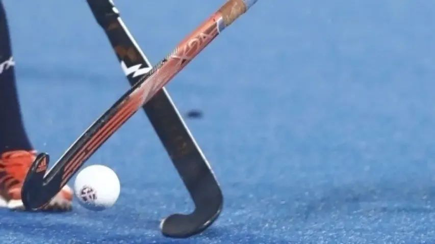 Men's Hockey World Cup celebration in Cuttack on Jan 11