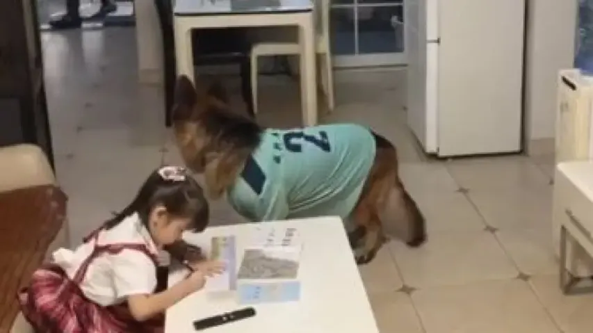 Dog reminds little girl to do homework as father arrives at home; Watch 