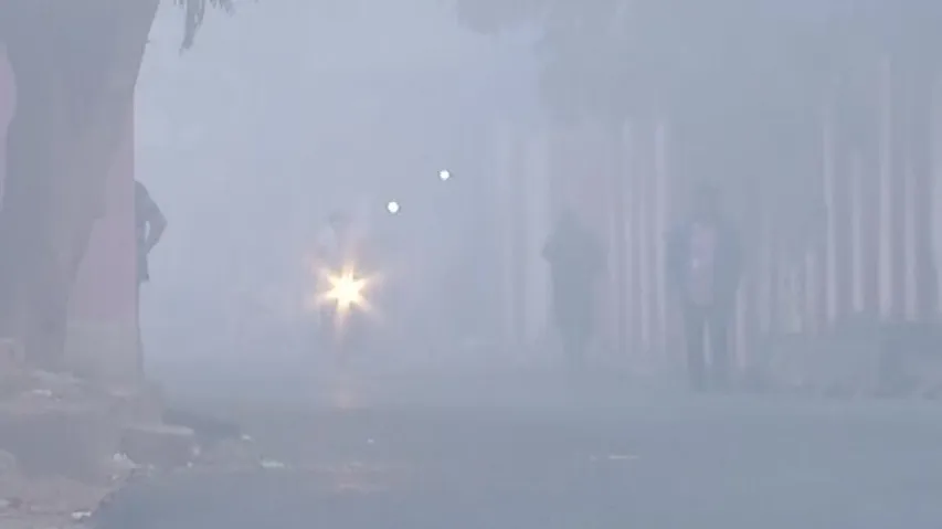 Winter Morning In Odisha