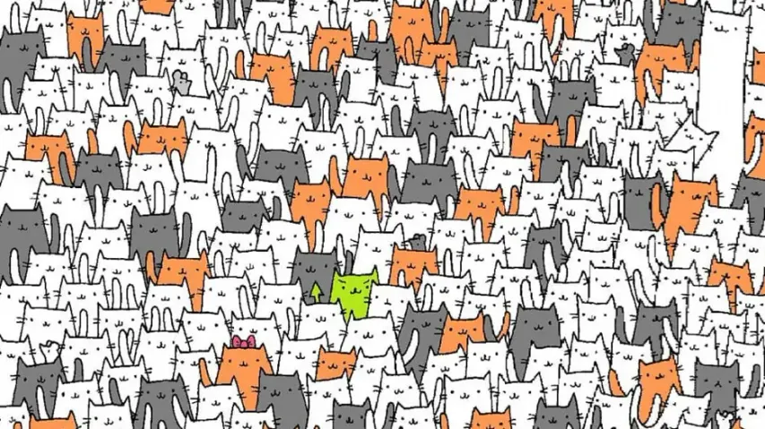 Can you spot a bunny among the cats in 8 seconds?