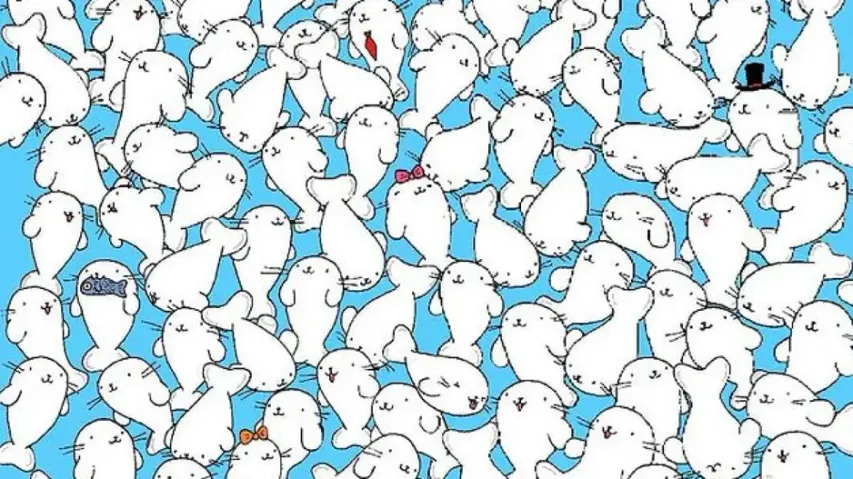 Only 2% can spot the marshmallow hidden among seals within 13 secs