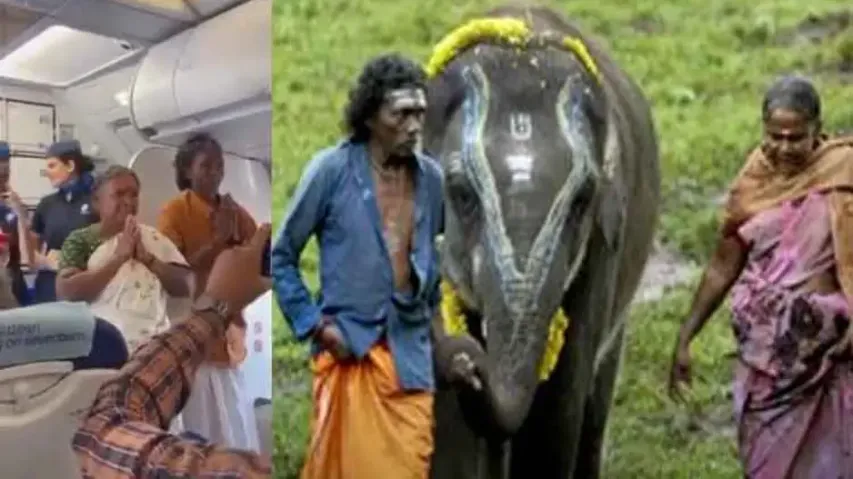 The ‘Real’ Elephant Whisperers honoured with shout-out & grand applause on flight, watch