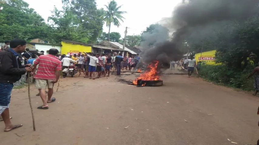 Monkey menace: Terrified villagers picket on roads seeking action